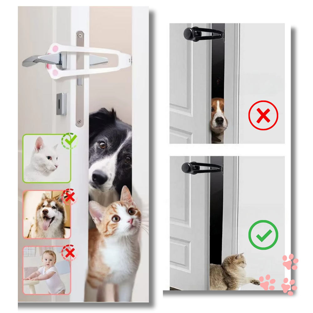Innovative Door Latch For Cats
